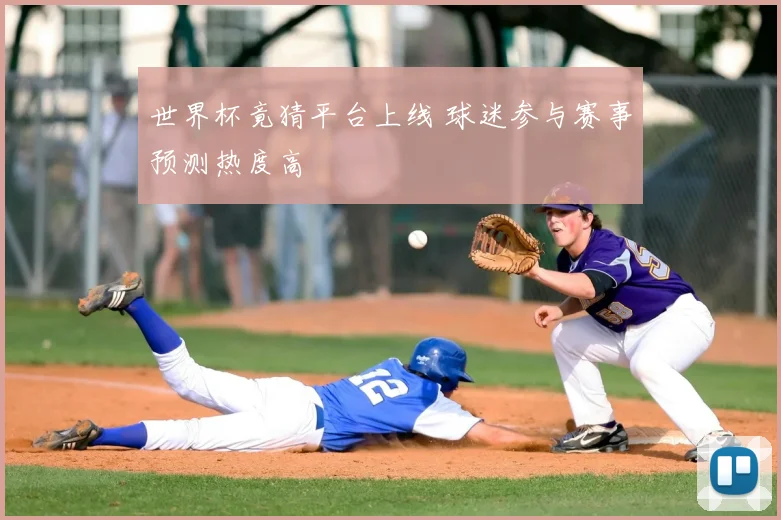 世界杯竟猜平台上线 球迷参与赛事预测热度高