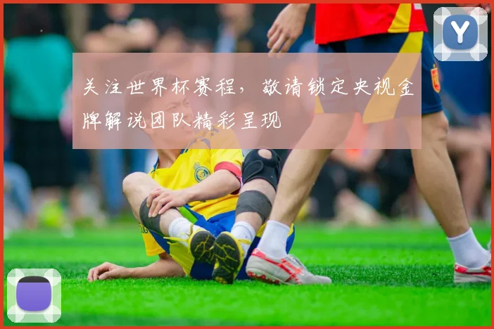 关注世界杯赛程,敬请锁定央视金牌解说团队精彩呈现