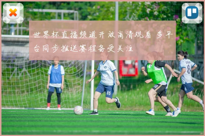 世界杯直播频道开放高清观看 多平台同步推送赛程备受关注