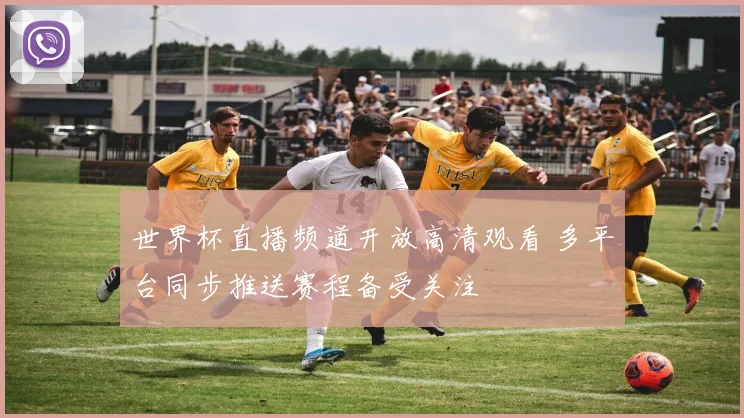 世界杯直播频道开放高清观看 多平台同步推送赛程备受关注